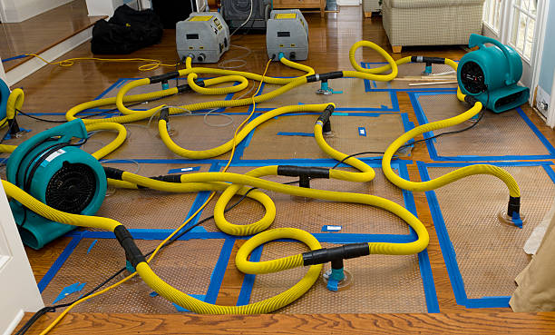 Professional Structural Drying And Dehumidification technician working in Akron, PA